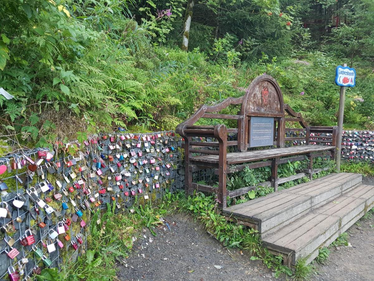 Fewo Nina Exklusiv Design Mit Bergblick Goslar Buitenkant foto