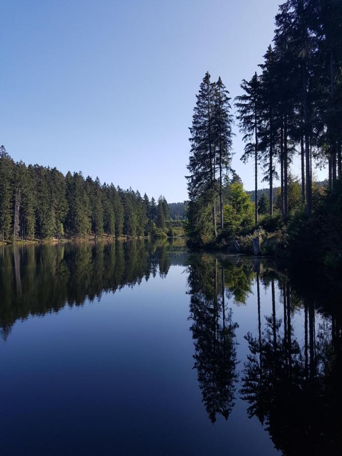 Fewo Nina Exklusiv Design Mit Bergblick Goslar Buitenkant foto